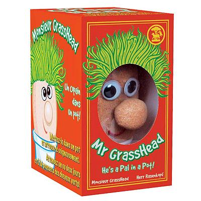 Mr-grasshead